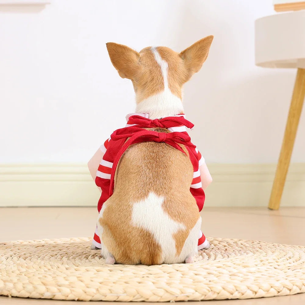 Happy Halloween: Traje Deportivo para Gatos y Perros
