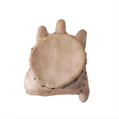 Happy Halloween: Disfraces, Decoración y Bromas Terrificantes