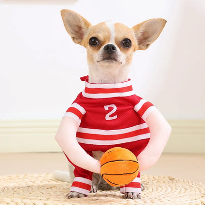 Happy Halloween: Traje Deportivo para Gatos y Perros